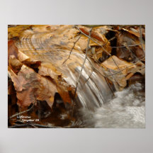 Peu de cascade, affiche