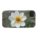 Peu de fleur blanche ; Aucun texte Étui Case-Mate iPhone 4