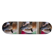 Peu de planche à roulettes de fourmilier