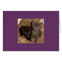 Peu noir et peu gris carte