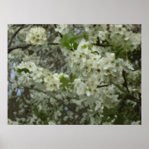 PEUT FLEURIR POSTERS