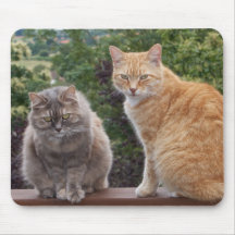 Phoebe et Lévi Tapis De Souris