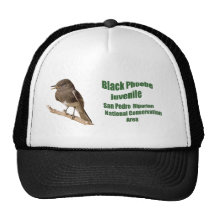 Phoebe noir casquettes