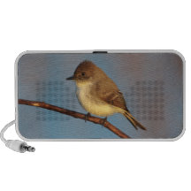 Phoebe sur l'étape haut-parleur ordinateur portable