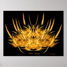 "Phoenix : copie de beaux-arts de toile de la Rena Affiches