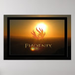 Phoenix Posters