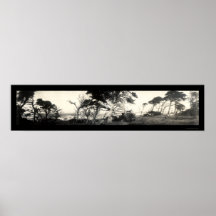 Photo 1907 de Monterey de point de Cypress Affiches