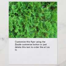 Photo à feuillage persistant colorée verte d'art d prospectus en couleur