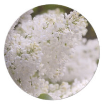 Photo assez blanche de lilas assiette