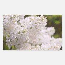 Photo assez blanche de lilas autocollants rectangulaires