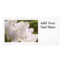 Photo assez blanche de lilas photocarte customisée