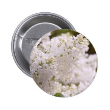 Photo assez blanche de lilas pin's avec agrafe