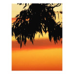 Photo australienne de coucher du soleil de silhoue