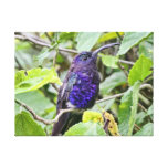 Photo bleue de colibri toile tendue