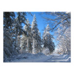 Photo collante de ~ de la neige 32