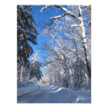 Photo collante de ~ de la neige 35