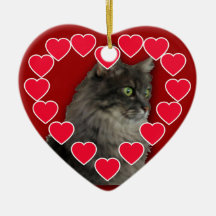 Photo customisée d'animal familier avec l'ornement