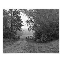 Photo de chemin de terre