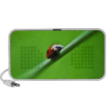 Photo de coccinelle haut-parleur notebook