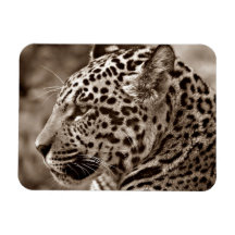 Photo de Jaguar Magnet En Vinyle