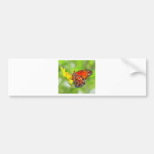 Photo de papillon et de fleur sauvage adhésif pour voiture