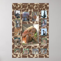 Photo du zoo de l'enfant posters