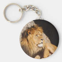 Photo Keychain de lion Porte-clés