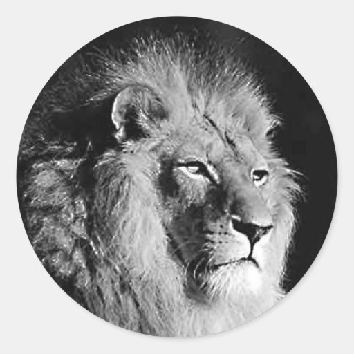 Photo noire et blanche de lion autocollant rond