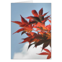 Photo rouge de feuille d'arbres d'arbre d'érable j carte