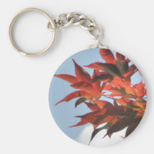 Photo rouge de feuille d'arbres d'arbre d'érable j porte-clé