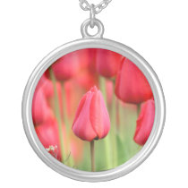 Photo rouge de tulipes colliers