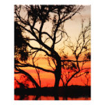 Photo vivante de silhouette de coucher du soleil d