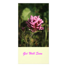 Photocard - fleur sauvage photocarte