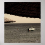 photographie affiches