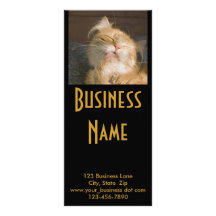 Photographie de chat de ragondin du Maine Double Carte Personnalisée