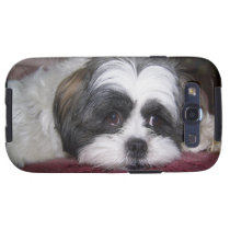 Photographie de chien de Shih Tzu coques case-mate