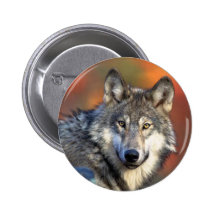 Photographie de loup badges