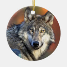 Photographie de loup ornements