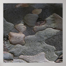 Photographie de macro d'écorce d'arbre affiche