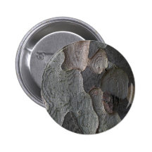Photographie de macro d'écorce d'arbre badges avec agrafe