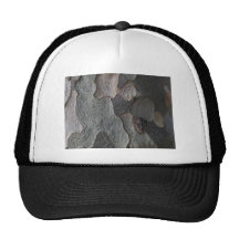Photographie de macro d'écorce d'arbre casquettes de camionneur
