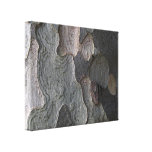 Photographie de macro d'écorce d'arbre impressions sur toile