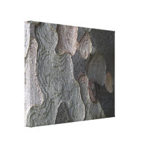 Photographie de macro d'écorce d'arbre impressions sur toile