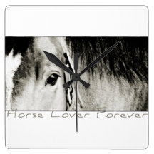 Photographie d'oeil de cheval
