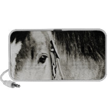 Photographie d'oeil de cheval haut-parleurs ordinateur portable