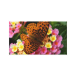 Photographie d'un papillon sur une fleur toiles tendues sur châssis
