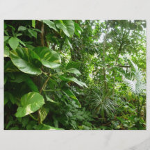 Photographie d'usine de vue de jungle de feuille d prospectus