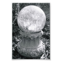 Photographie I8 4x6 noir et blanc de lettre d'alph