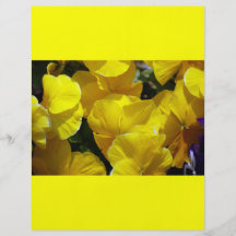 PHOTOGRAPHIE JAUNE de FLEURS des PENSÉES Yellow-pe Prospectus