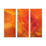 Photographie orange de fleur toile tendue